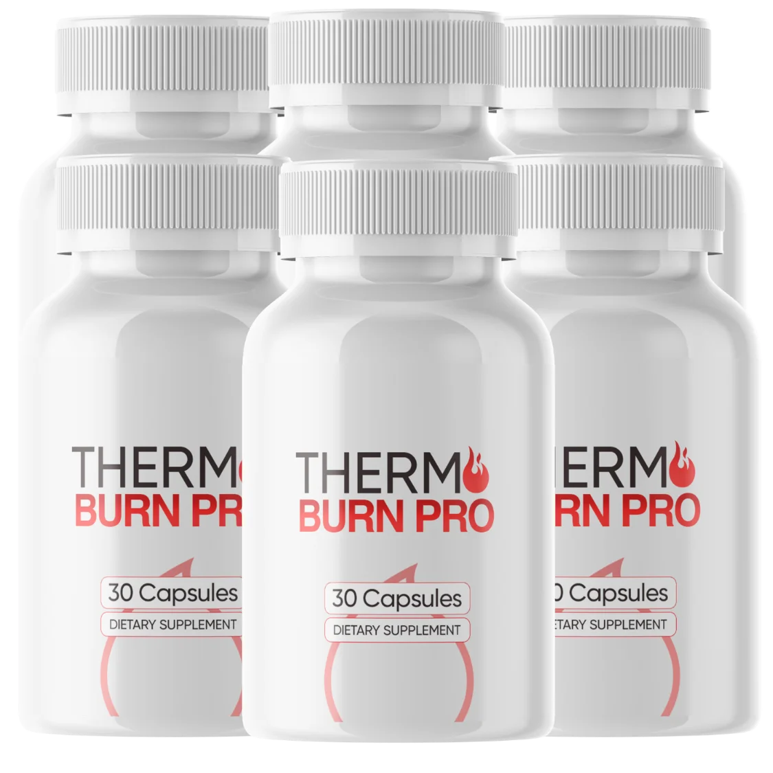 Thermo Burn Pro 6 bottles